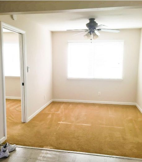 Premium Carpet